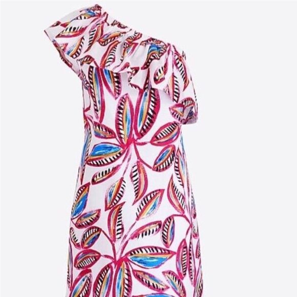 NWOT J.Crew Dress(size medium) - Picture 6 of 9